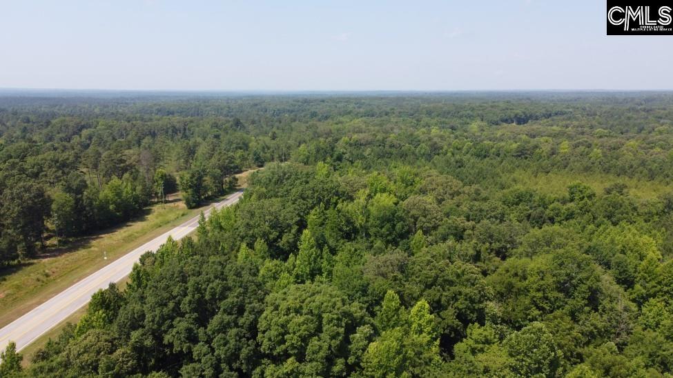 4129 Peach Road Ridgeway, SC 29130 - Photo 21 of 35