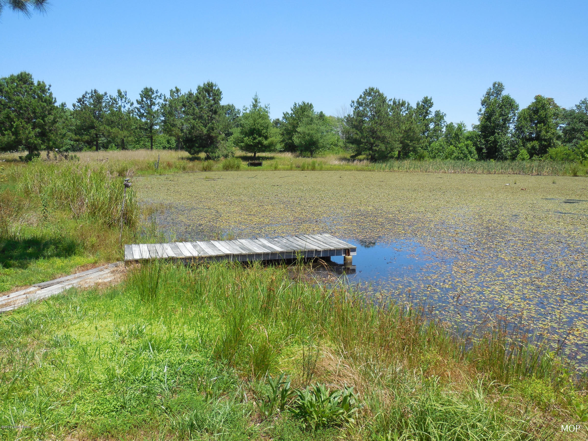 5498 Reese Hurt Road Breeding, KY 42715 - Photo 28 of 41 Pond 10