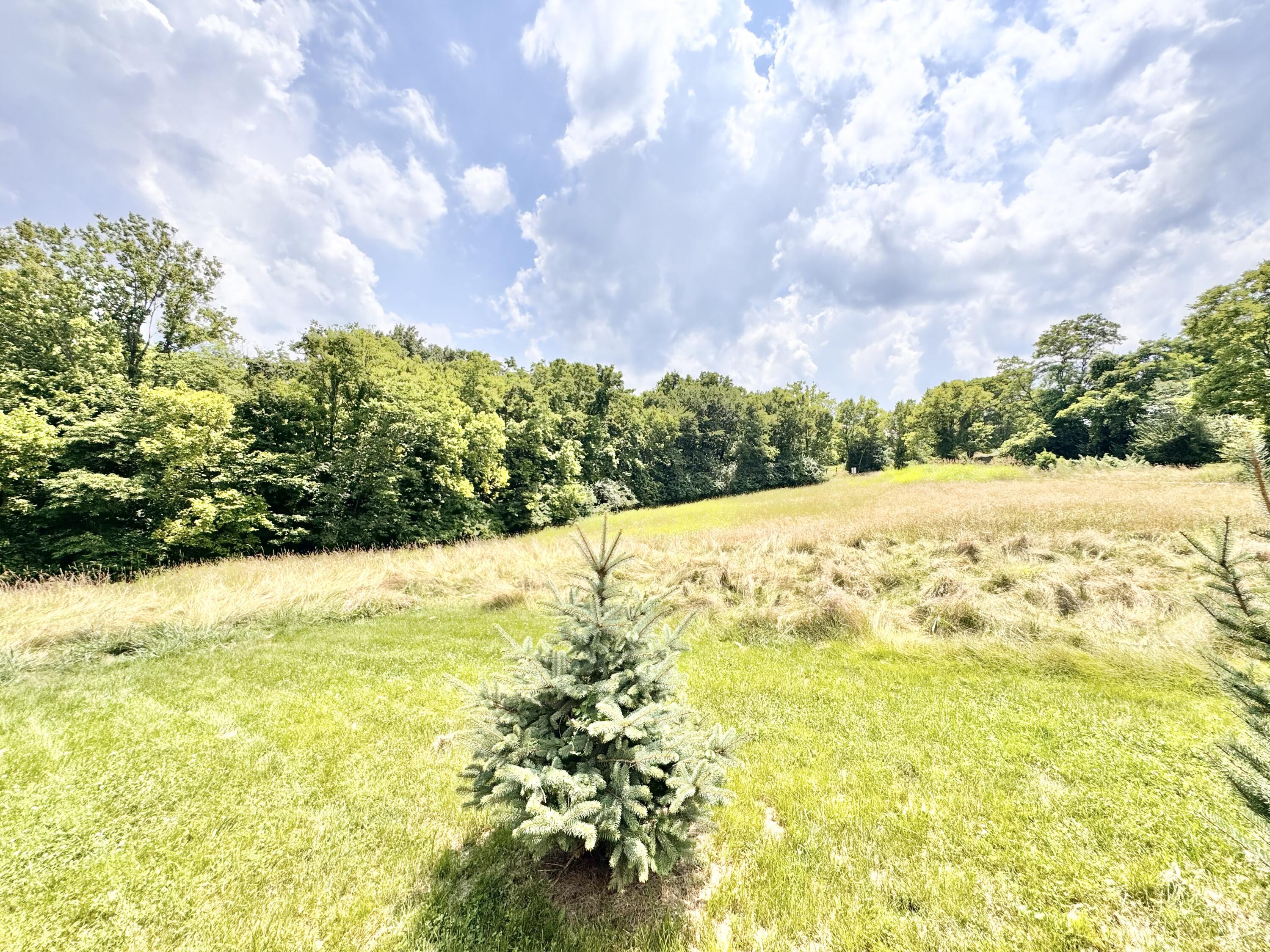 13165 Burns Road California, KY 41007 - Photo 36 of 43 Gallery Image 36