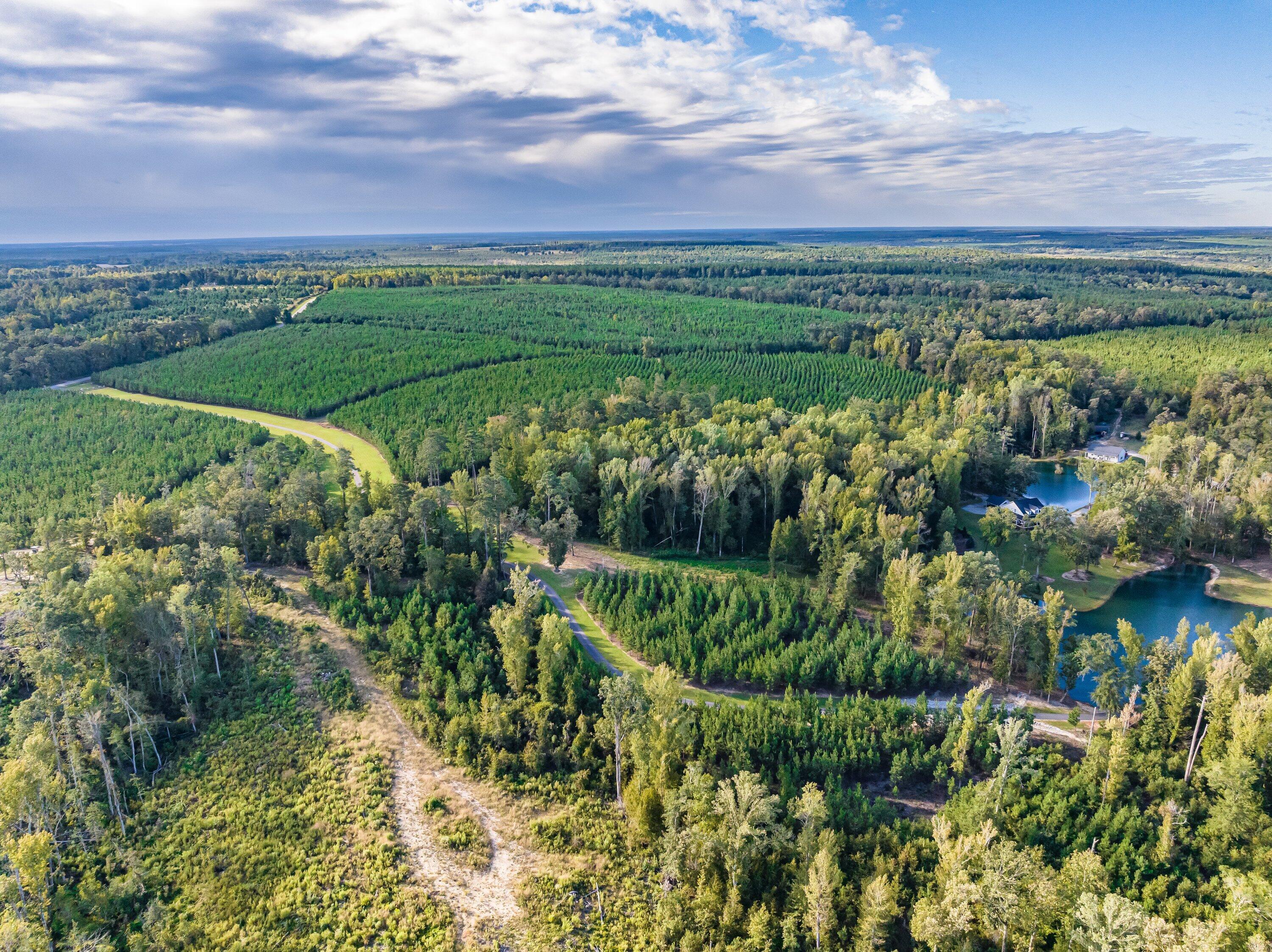 3275 Hadden Pond Road Avera, GA 30803 - Photo 59 of 69 DJI_0122-HDR