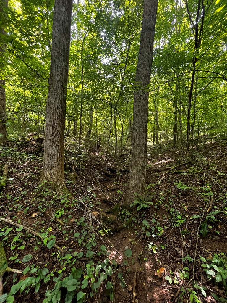 0 Puppy Creek Farm Road, Unit 22 Stuart, VA 24171 - Photo 19 of 28 Gallery Image 19