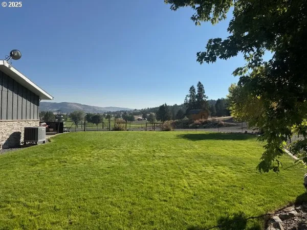 a view of backyard with small cabin