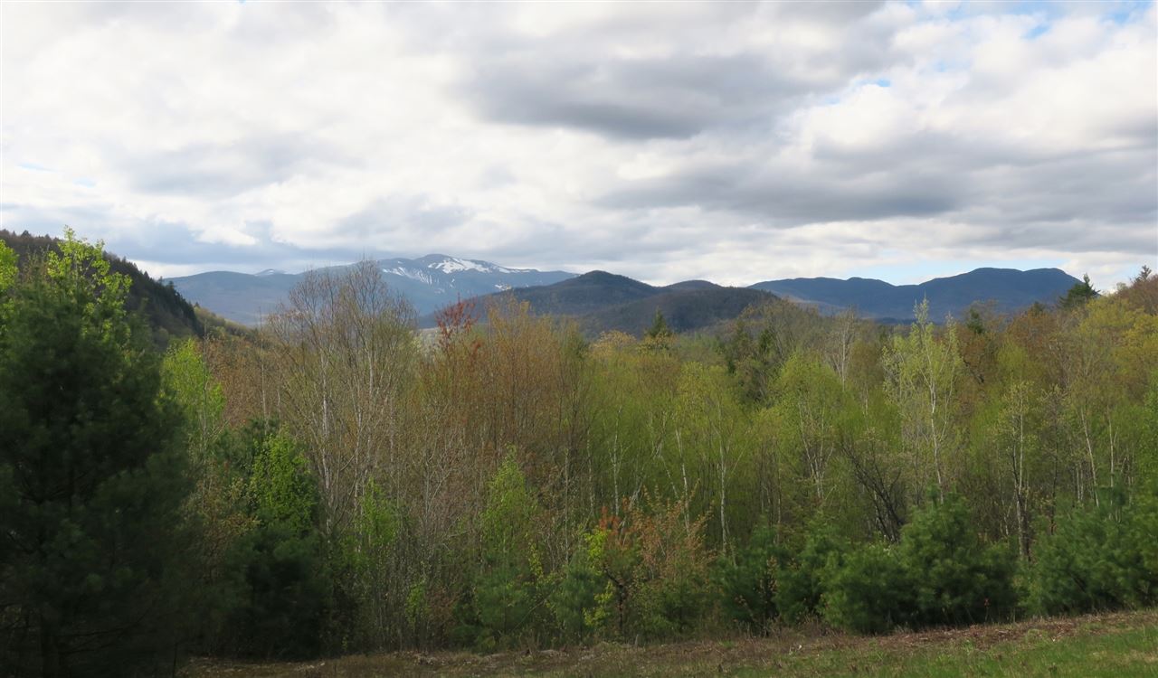 66 Christmas Mountain Road, Unit R66 Intervale, NH 03845 - Photo 9 of 9 Gallery Image 9