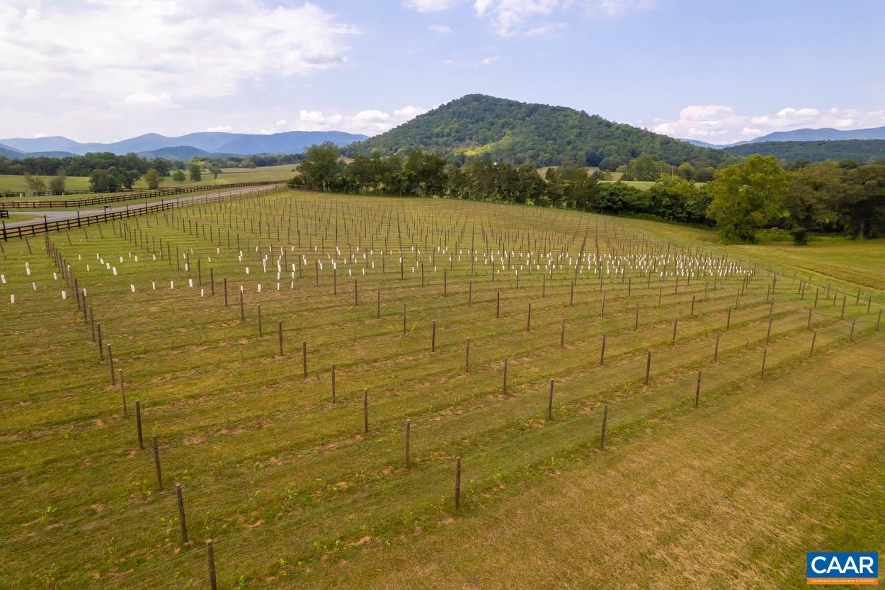 56-a 9b Sylvia Ridge Road Stanardsville, VA 22973 - Photo 29 of 43 Gallery Image 29
