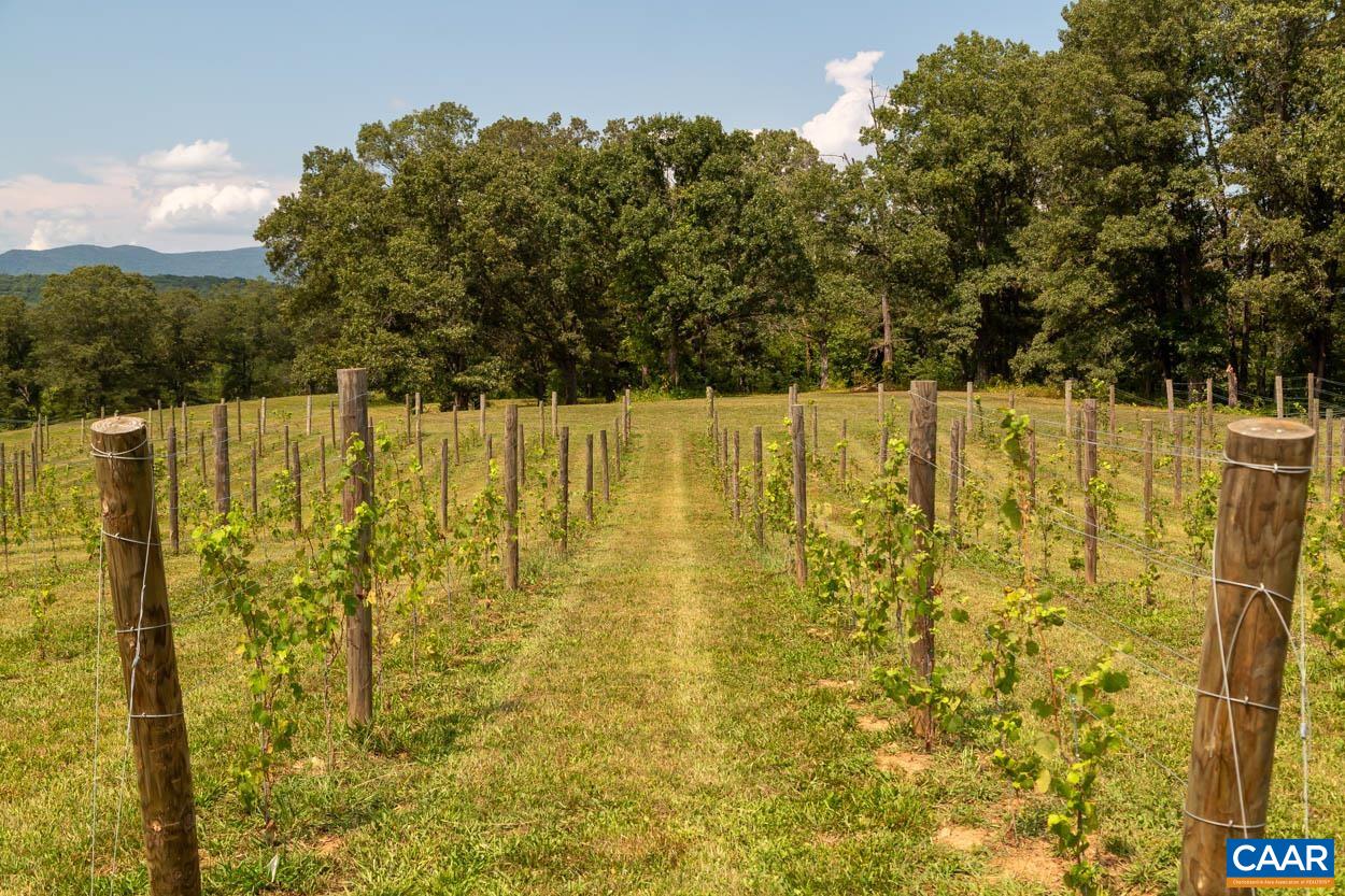 56-a 9b Sylvia Ridge Road Stanardsville, VA 22973 - Photo 40 of 43 Gallery Image 40