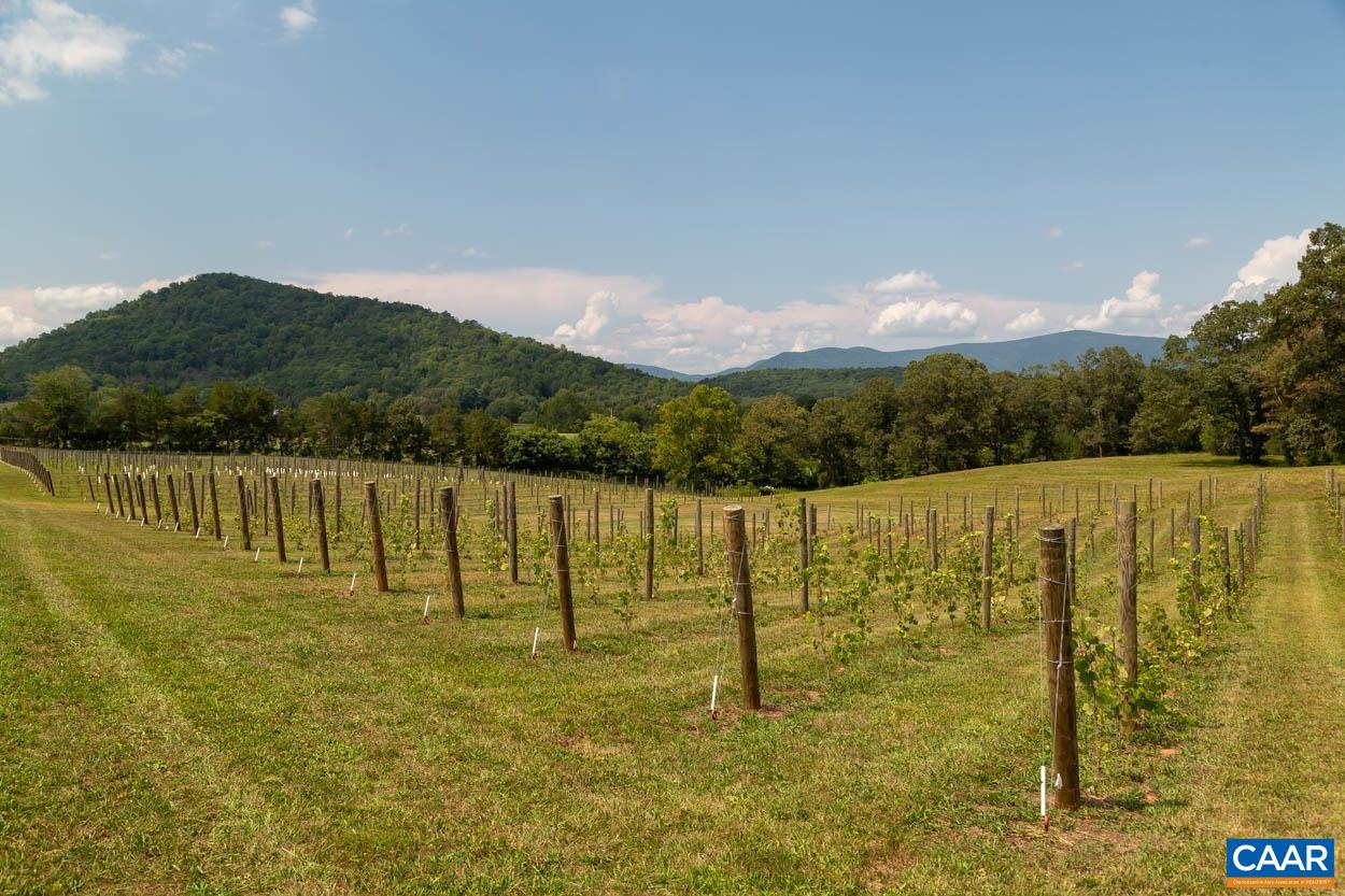 56-a 9b Sylvia Ridge Road Stanardsville, VA 22973 - Photo 41 of 43 Gallery Image 41