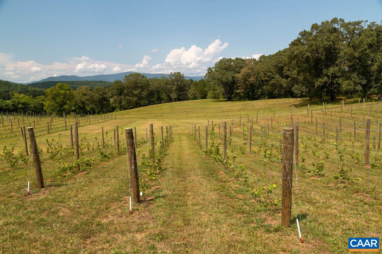 56-a 9b Sylvia Ridge Road Stanardsville, VA 22973 - Photo 42 of 43 Gallery Image 42