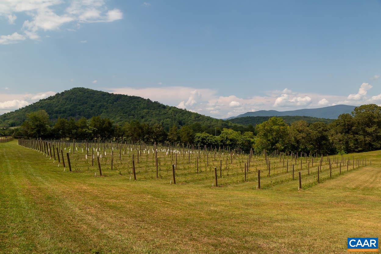 56-a 9b Sylvia Ridge Road Stanardsville, VA 22973 - Photo 43 of 43 Gallery Image 43