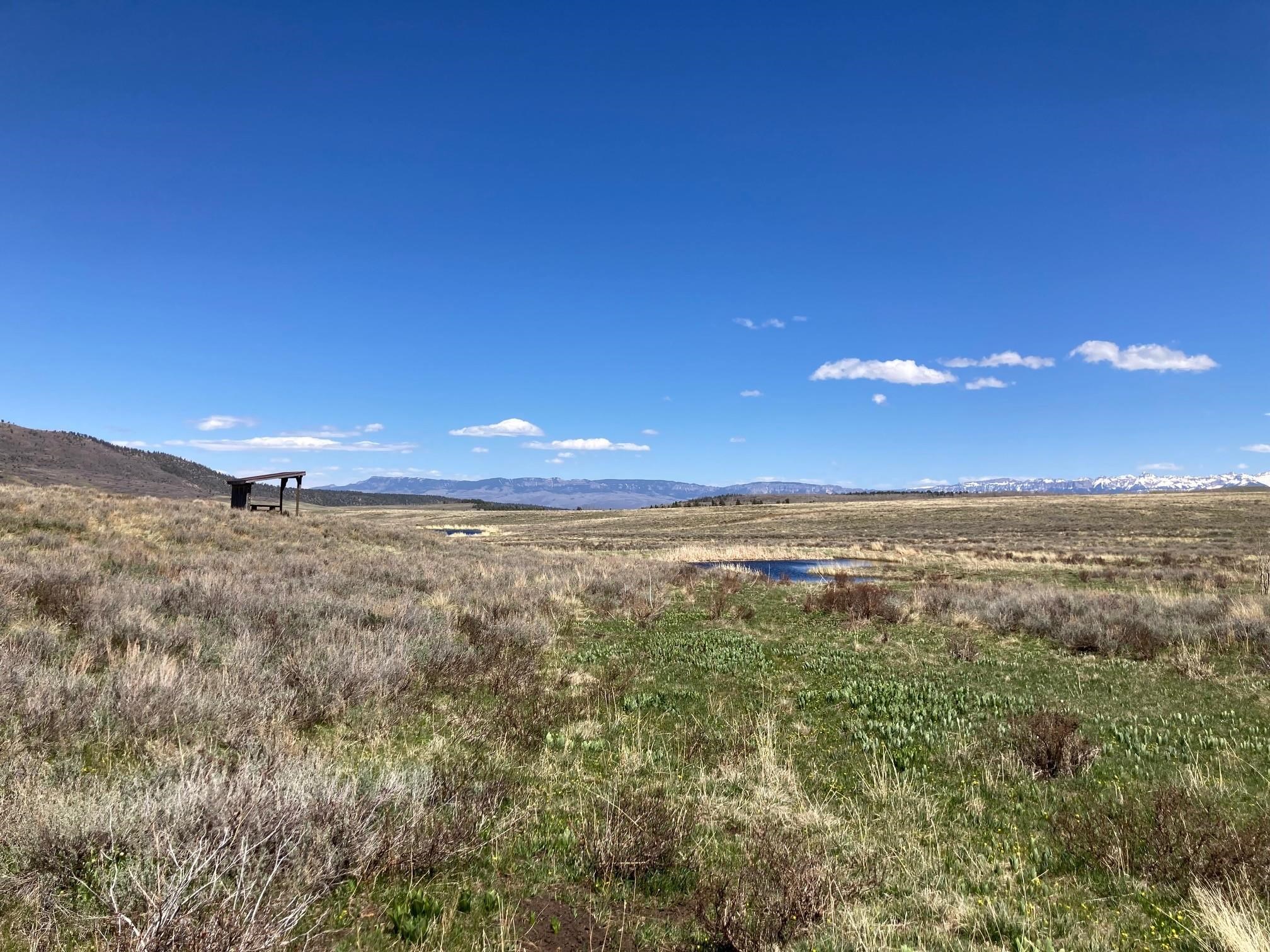 14 County Road Ridgway, CO 81432 - Photo 4 of 11 Gallery Image 4