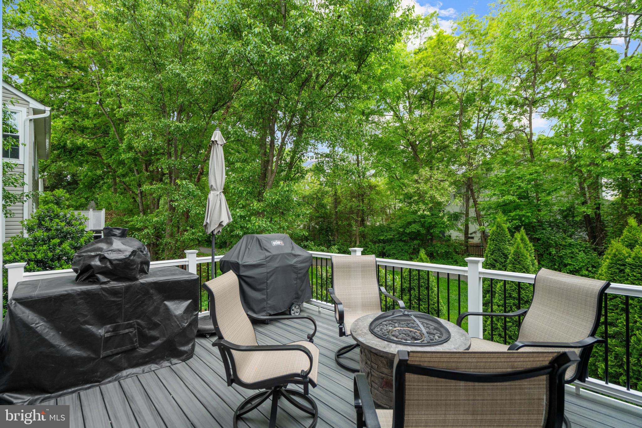 21397 Springwell Drive Ashburn, VA 20148 - Photo 15 of 43 Outdoor Deck Perfect for Grilling