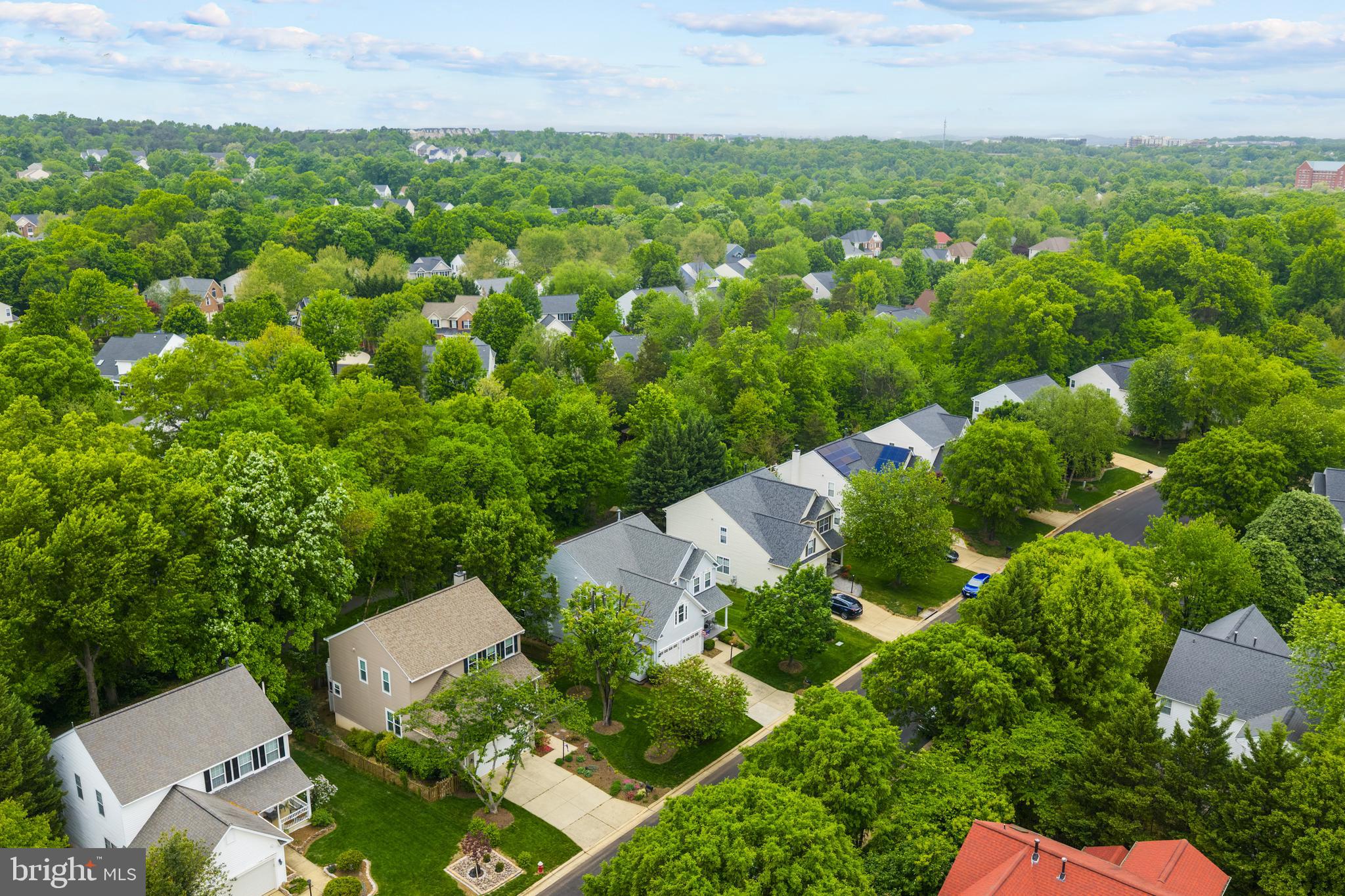 21397 Springwell Drive Ashburn, VA 20148 - Photo 43 of 43 Make This YOUR Home!