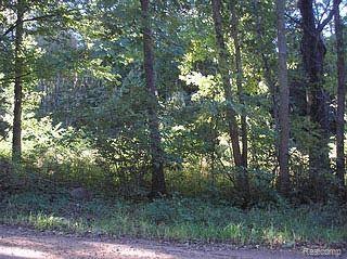 P1 West Coon Lake Road Gregory, MI 48137 - Photo 1 of 1 PRIVATE SETTING