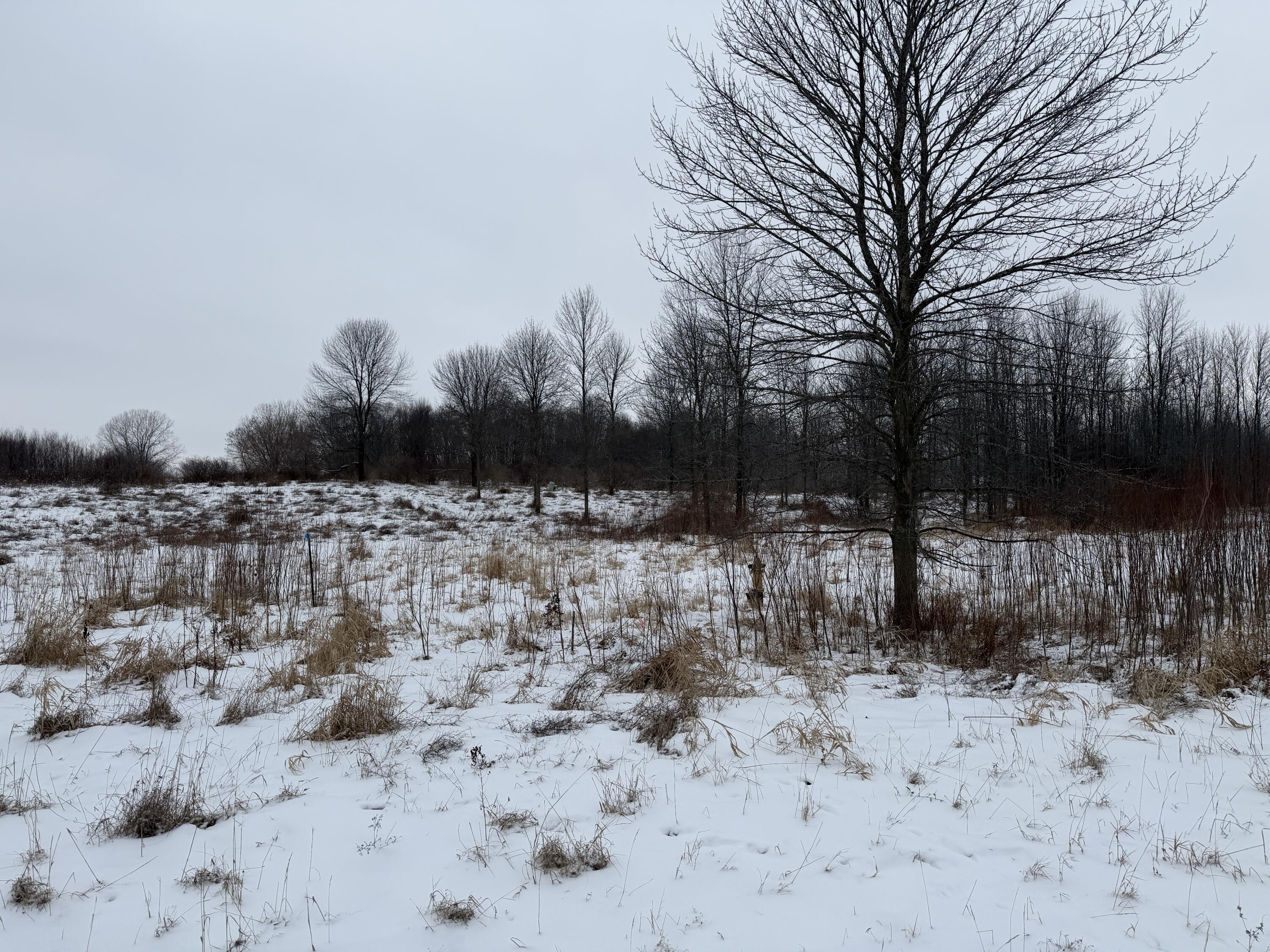 Two Sandy Ridge Drive Two Rivers, WI 54241 - Photo 5 of 7 IMG_7984
