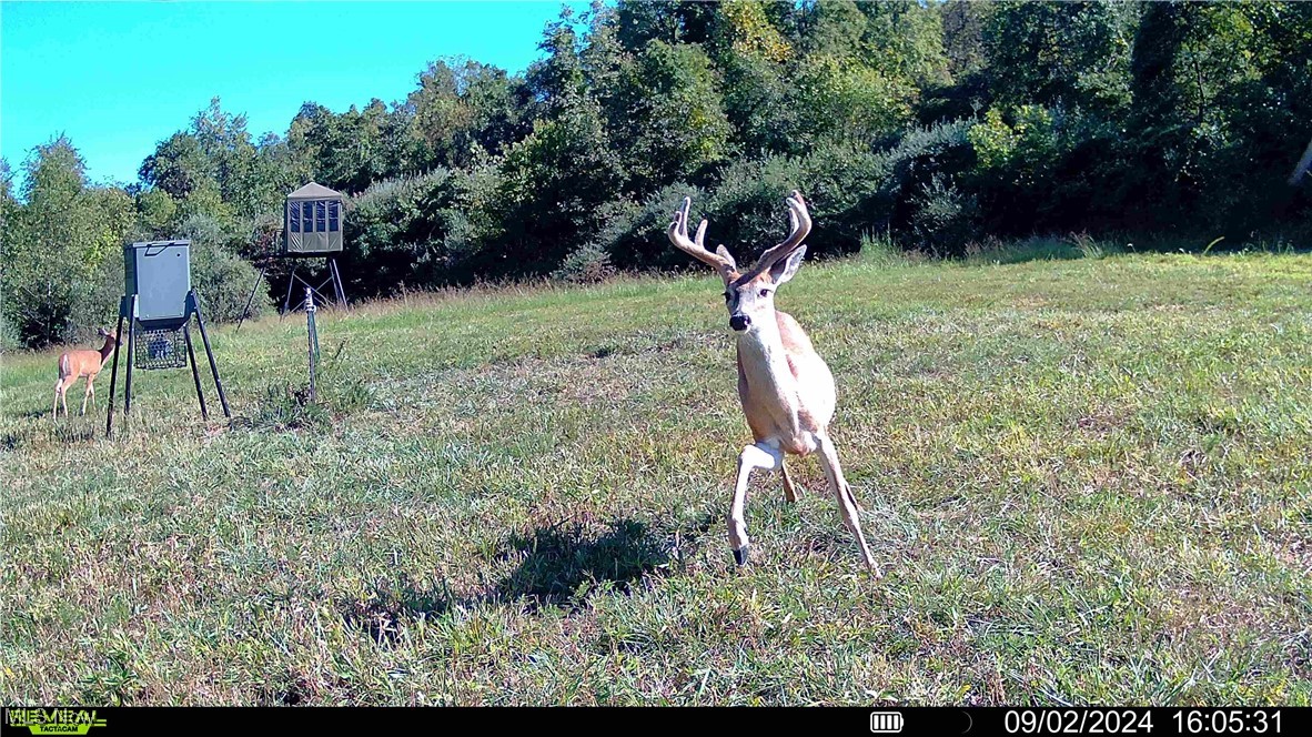 0 Wolfe Run Road Belleville, WV 26133 - Photo 18 of 38 Deer