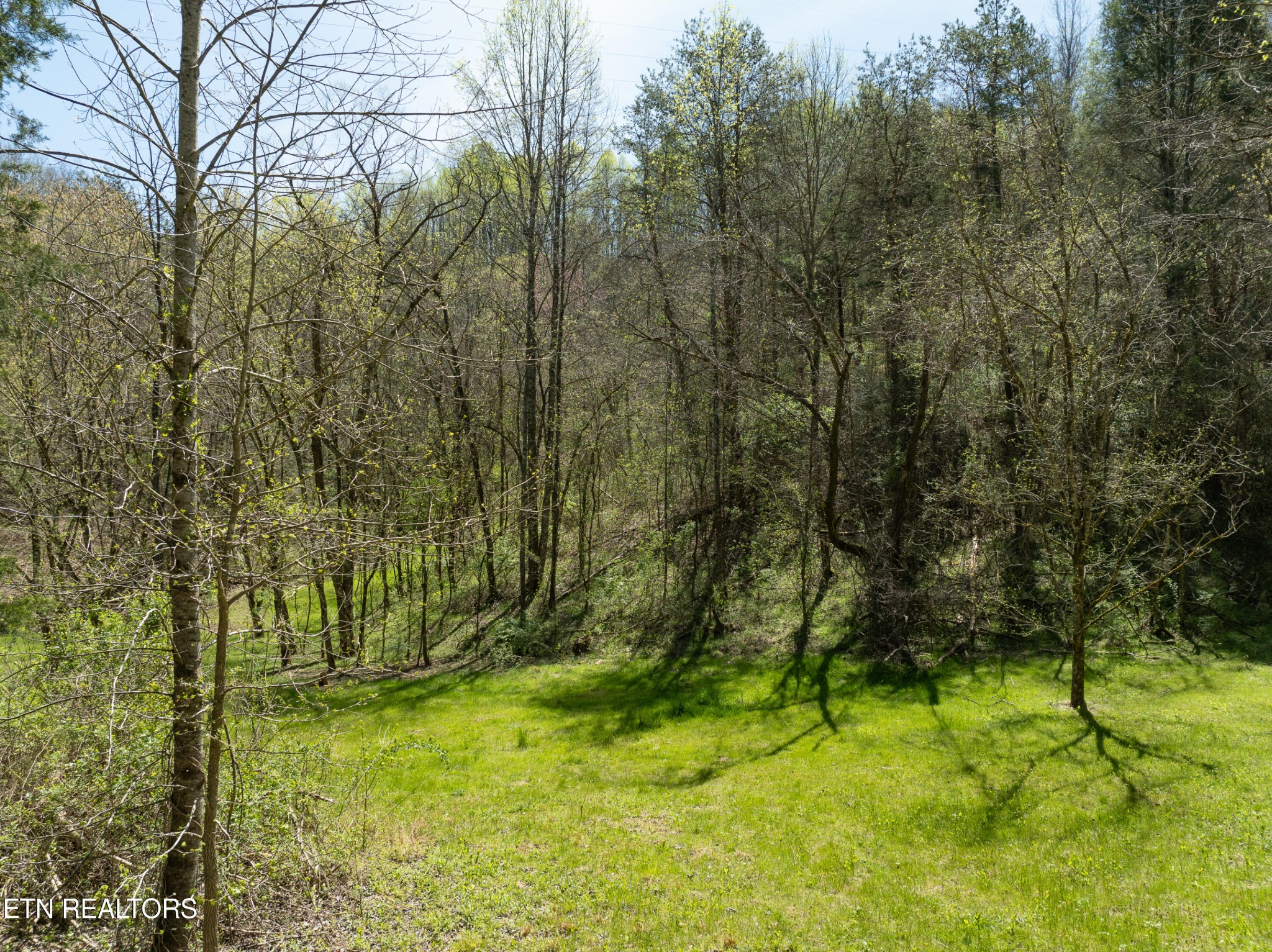 5133 6 Mile Road Maryville, TN 37803 - Photo 48 of 59 Gallery Image 48