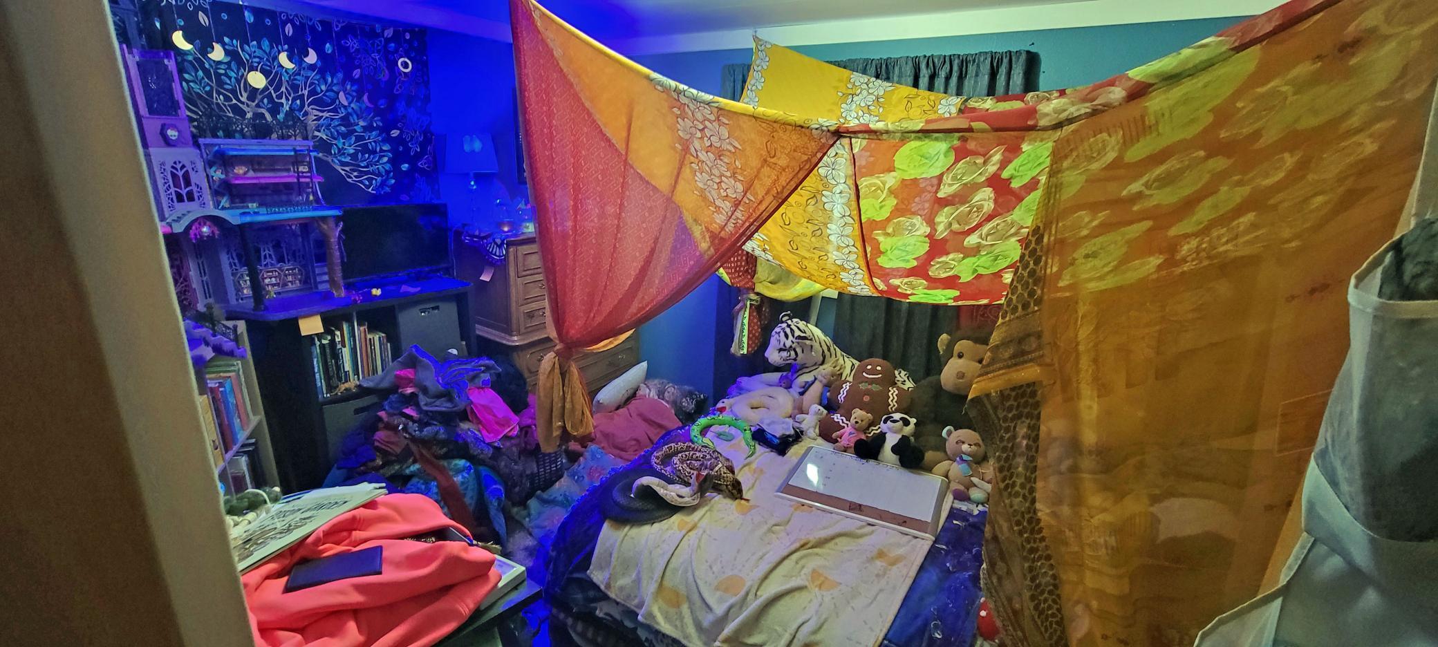 7586 Lake Camile Drive Randall, MN 56475 - Photo 15 of 24