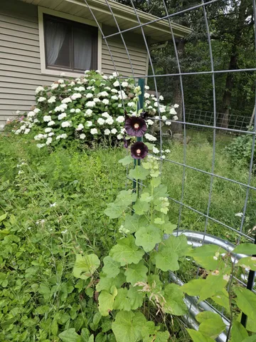 $269,900 | 7586 Lake Camile Drive, Randall, MN 56475