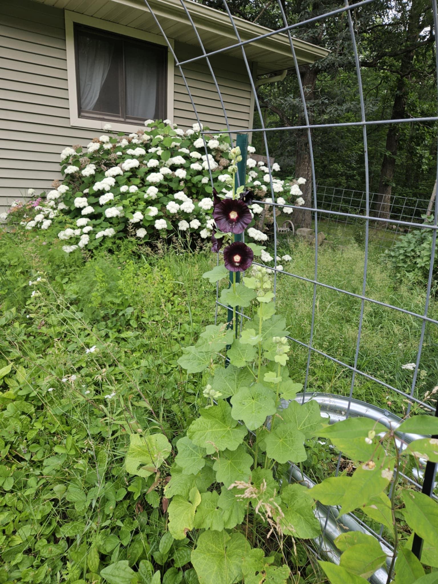 7586 Lake Camile Drive Randall, MN 56475 - Photo 19 of 24