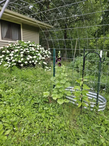 $269,900 | 7586 Lake Camile Drive, Randall, MN 56475