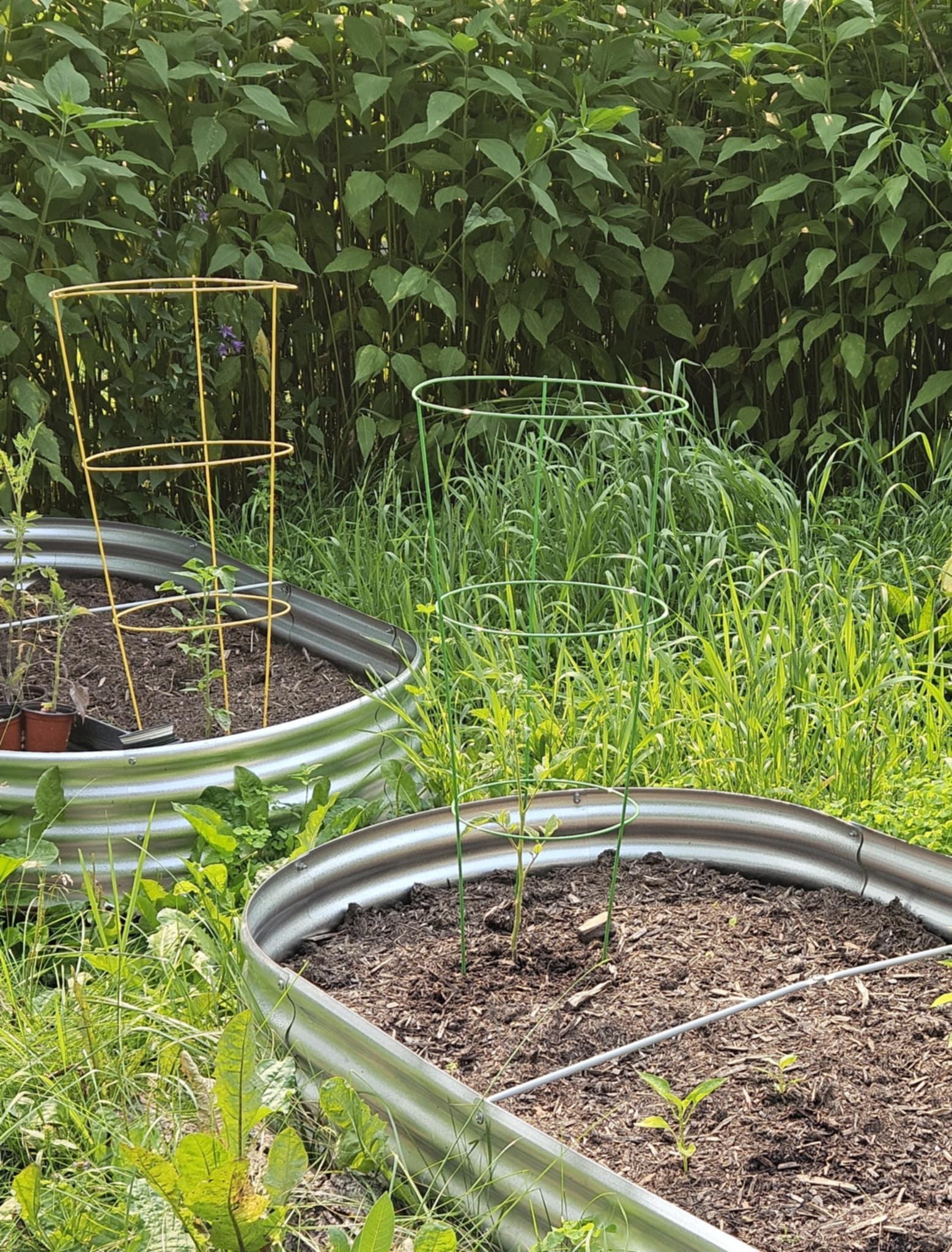 7586 Lake Camile Drive Randall, MN 56475 - Photo 21 of 24