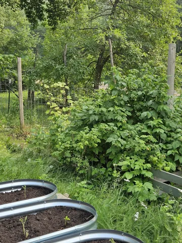 $269,900 | 7586 Lake Camile Drive, Randall, MN 56475