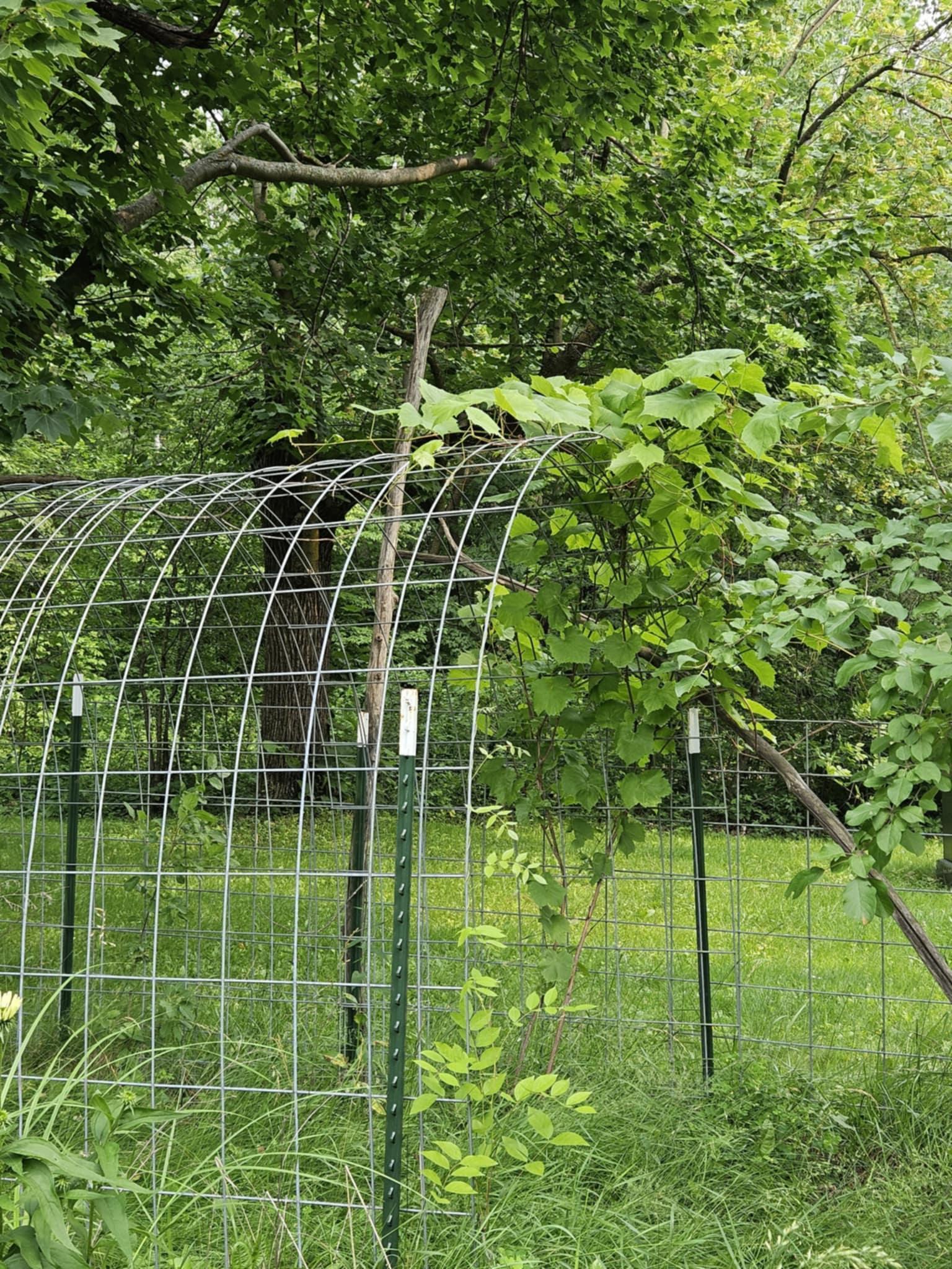 7586 Lake Camile Drive Randall, MN 56475 - Photo 23 of 24