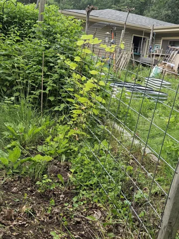 $269,900 | 7586 Lake Camile Drive, Randall, MN 56475