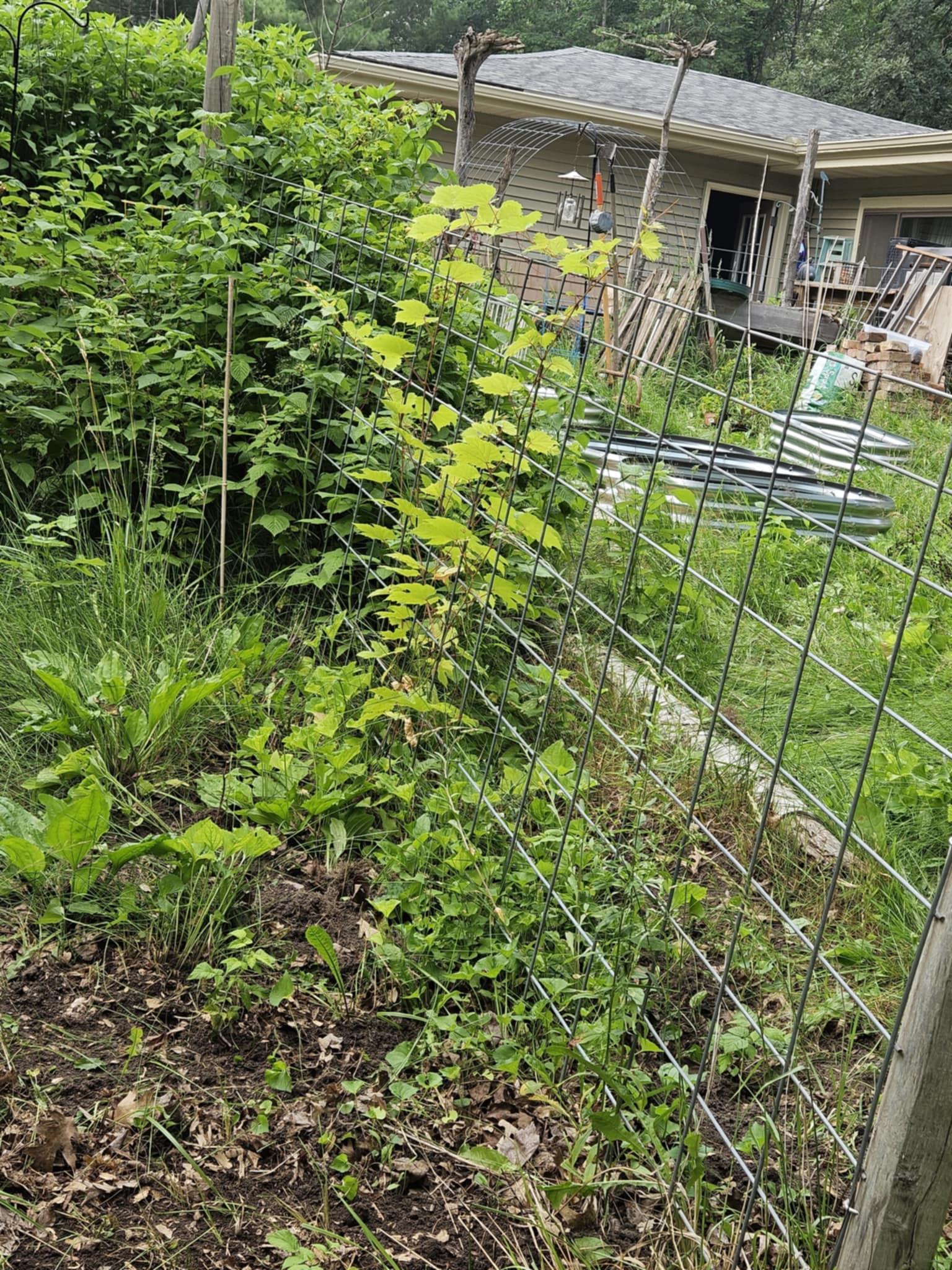 7586 Lake Camile Drive Randall, MN 56475 - Photo 24 of 24