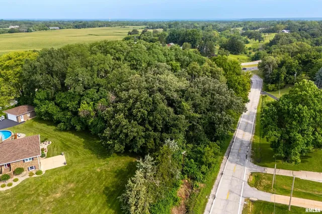 an aerial view of residential houses with outdoor space and trees