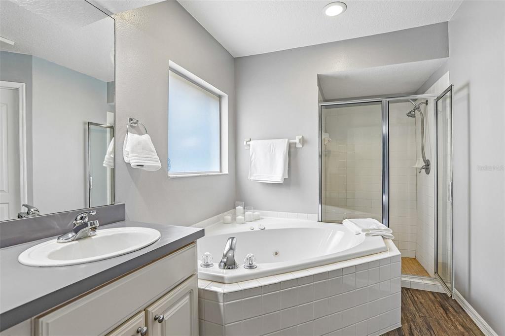 17702 Long Ridge Road Tampa, FL 33647 - Photo 18 of 48 Gallery Image 18