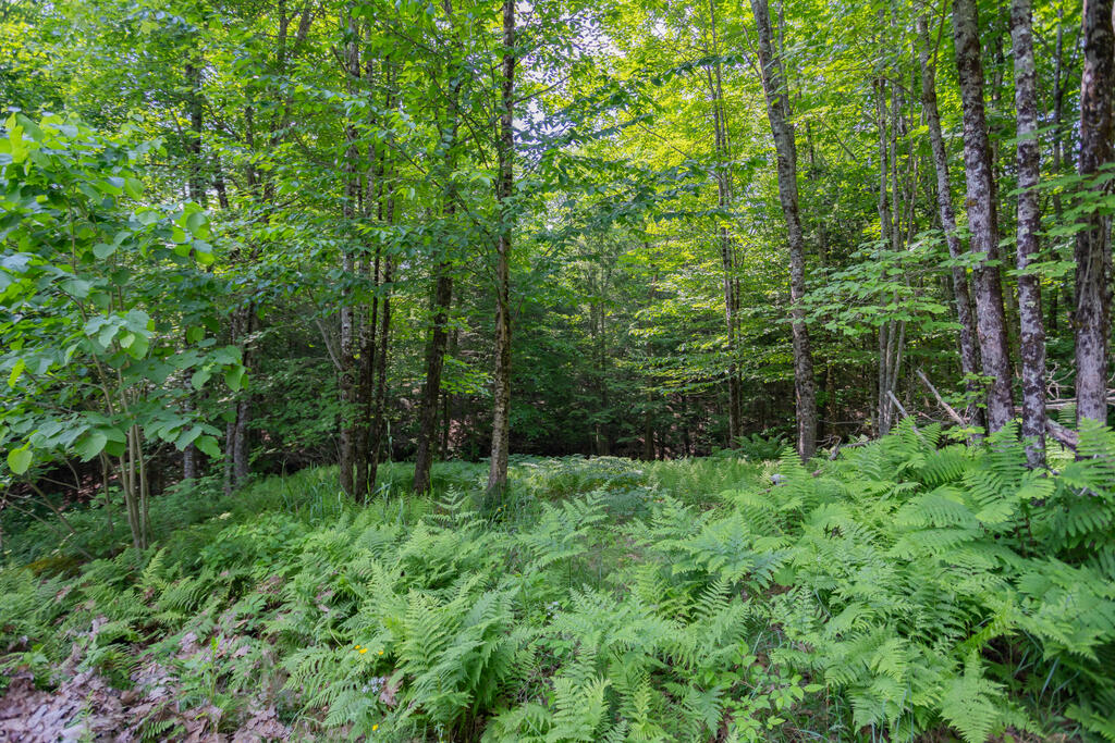 72 Fayette Corner Road Kents Hill, ME 04349 - Photo 62 of 62 taylor-kaminsky-photo-42