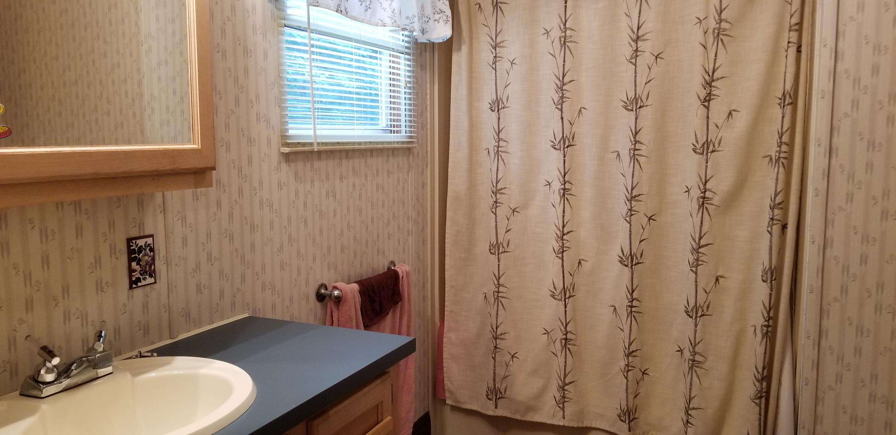 553 Hopper Road Acton, ME 04001 - Photo 20 of 22 20190817_114820