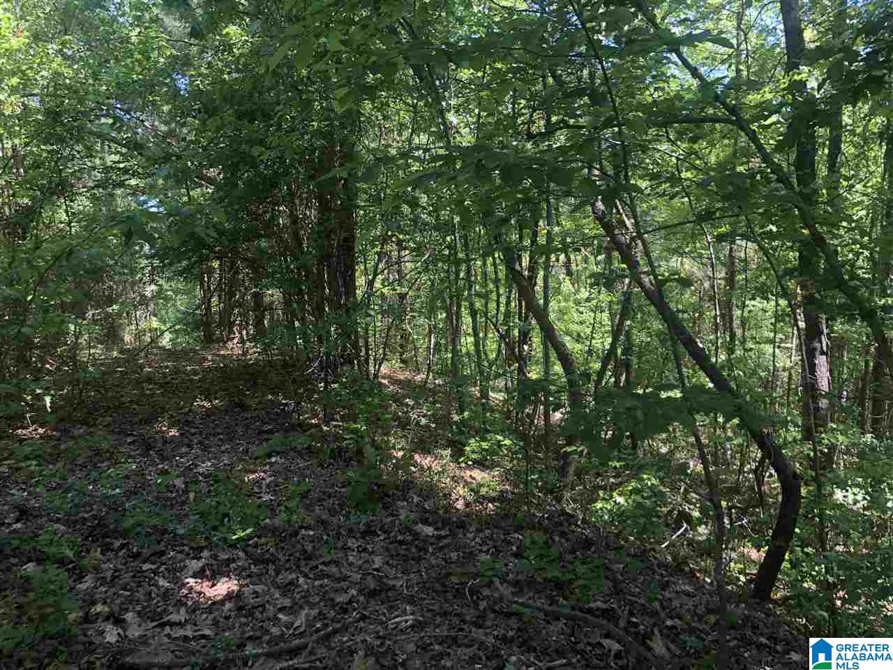 6874 Edge Street, Unit 10 ACRES Bessemer, AL 35022 - Photo 6 of 7