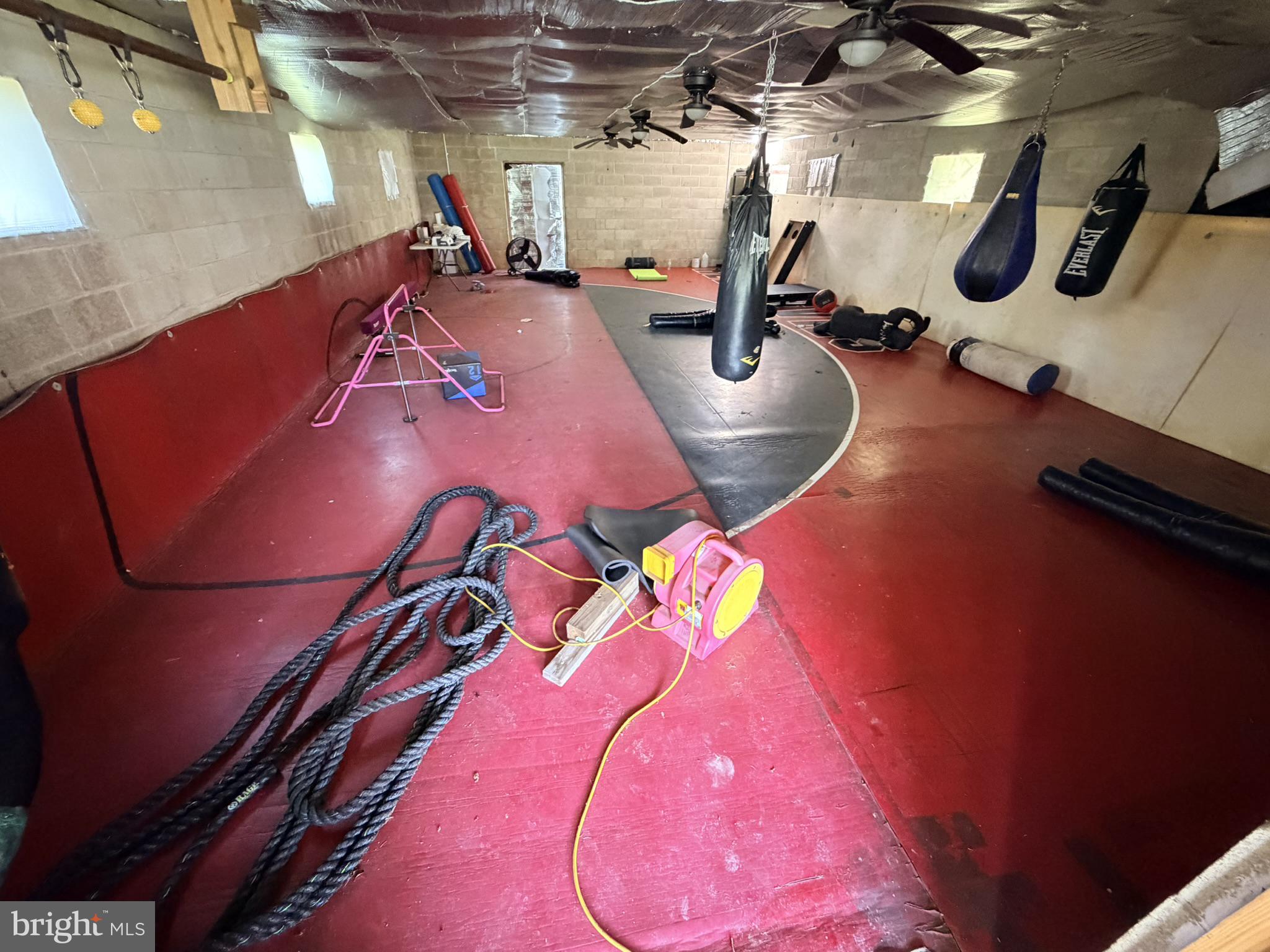 586 Zeitler Road Elkton, MD 21921 - Photo 43 of 55 Home gym with boxing setup.