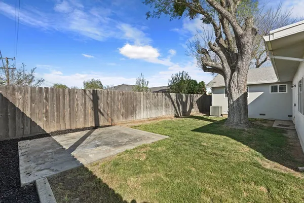 a view of a backyard