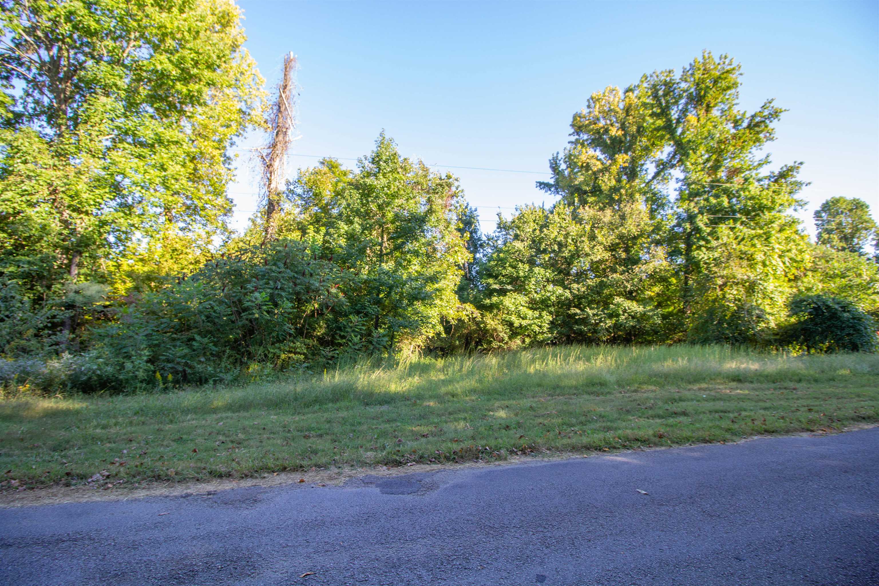 0 Dr Lewis Road Ripley, TN 38063 - Photo 2 of 8 a view of a golf course with a yard