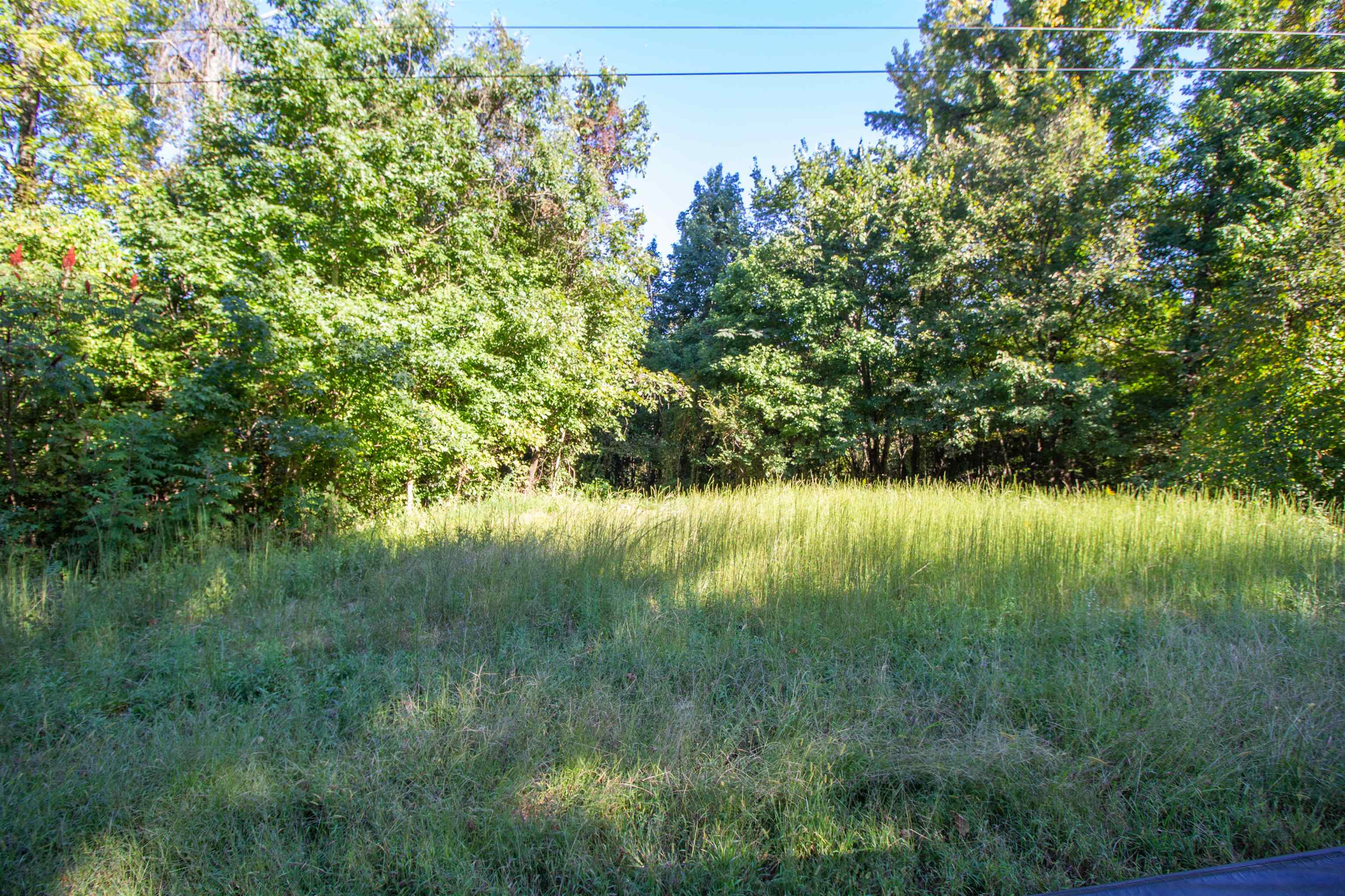 0 Dr Lewis Road Ripley, TN 38063 - Photo 4 of 8 a view of lake with green space