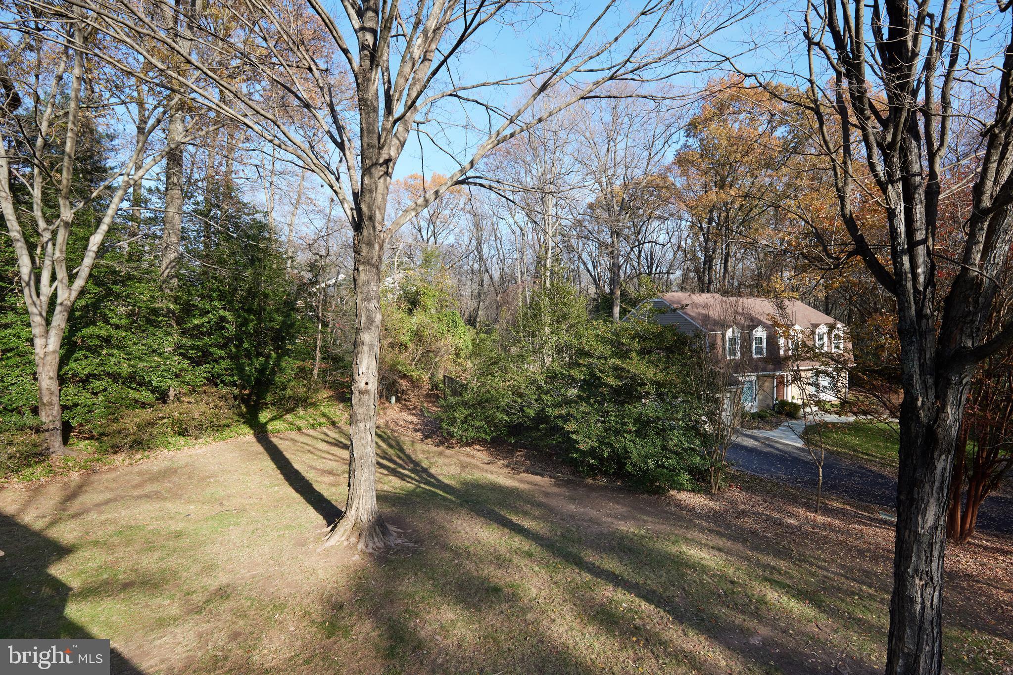 11802 Grey Birch Place Reston, VA 20191 - Photo 63 of 65 Gallery Image 63