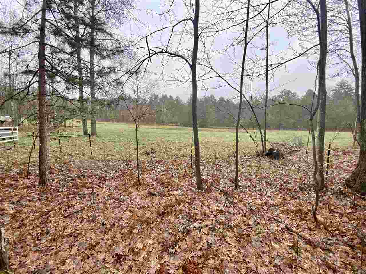 8340 Sparling Road Fife Lake, MI 49633 - Photo 56 of 60 1886214-55.JPG