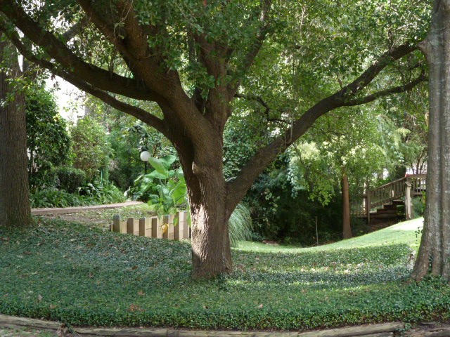 2100 Tanglewilde Street, Unit 377 Houston, TX 77063 - Photo 6 of 10 Gorgeous grounds enhance the beauty of this community!