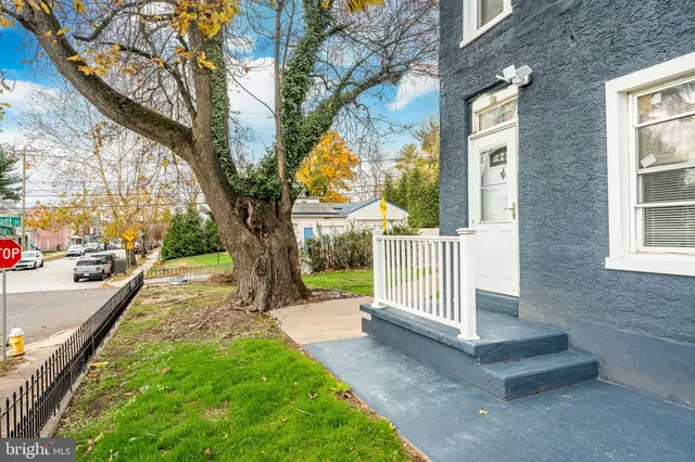 a view of a garden with a tree in the house