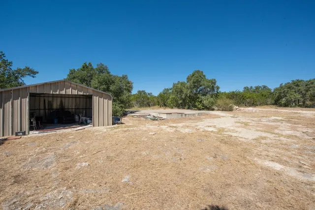 a view of a yard with a tree
