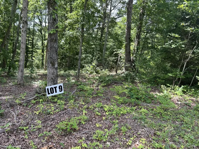 a sign that is sitting in a forest