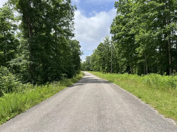 a view of a road with a yard