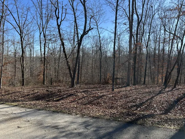 a big yard with lots of green space