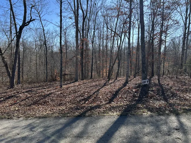 a view of a backyard of the house