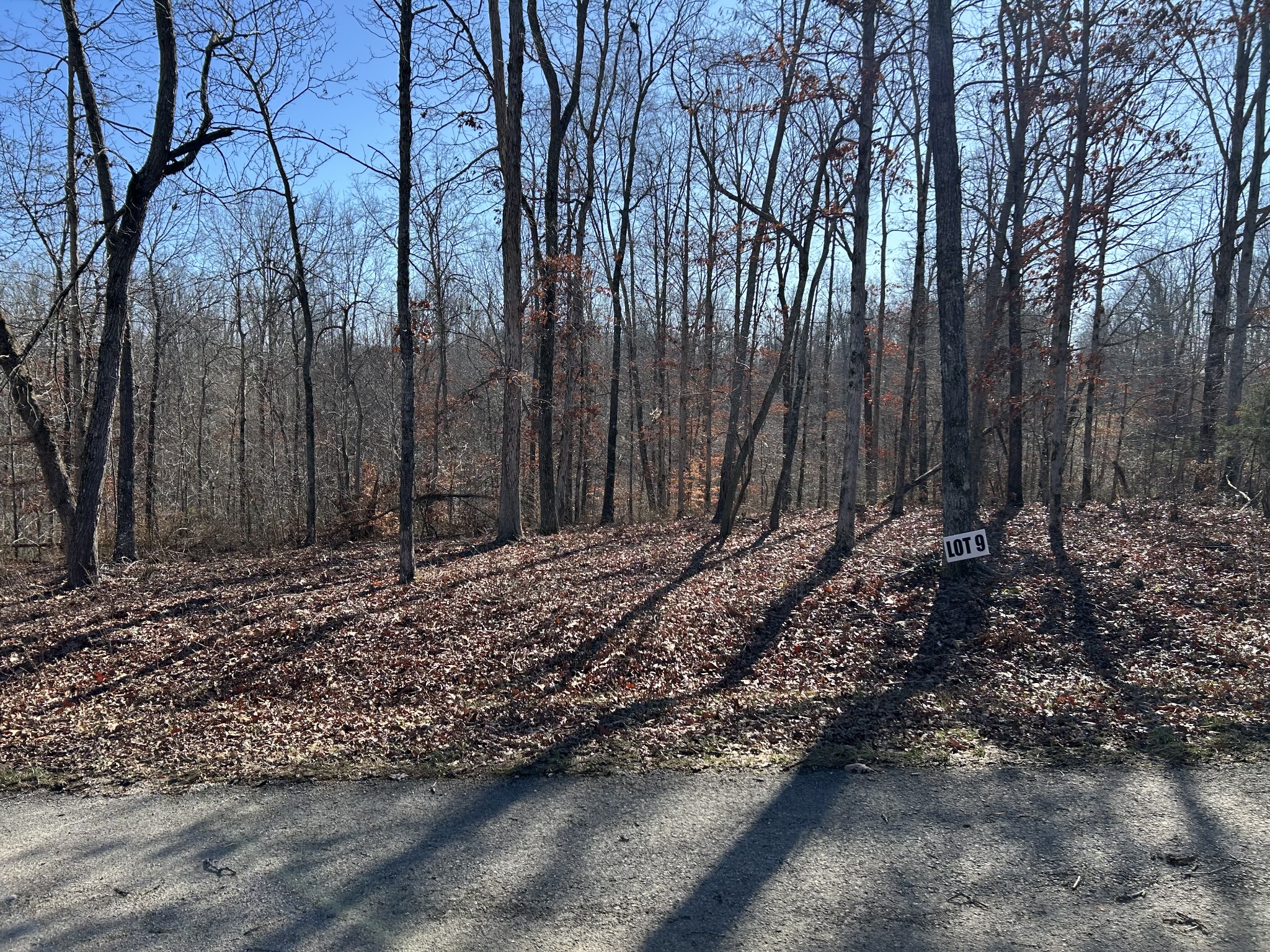 9 Slaughter Road Santa Fe, TN 38482 - Photo 7 of 7 a view of a backyard of the house
