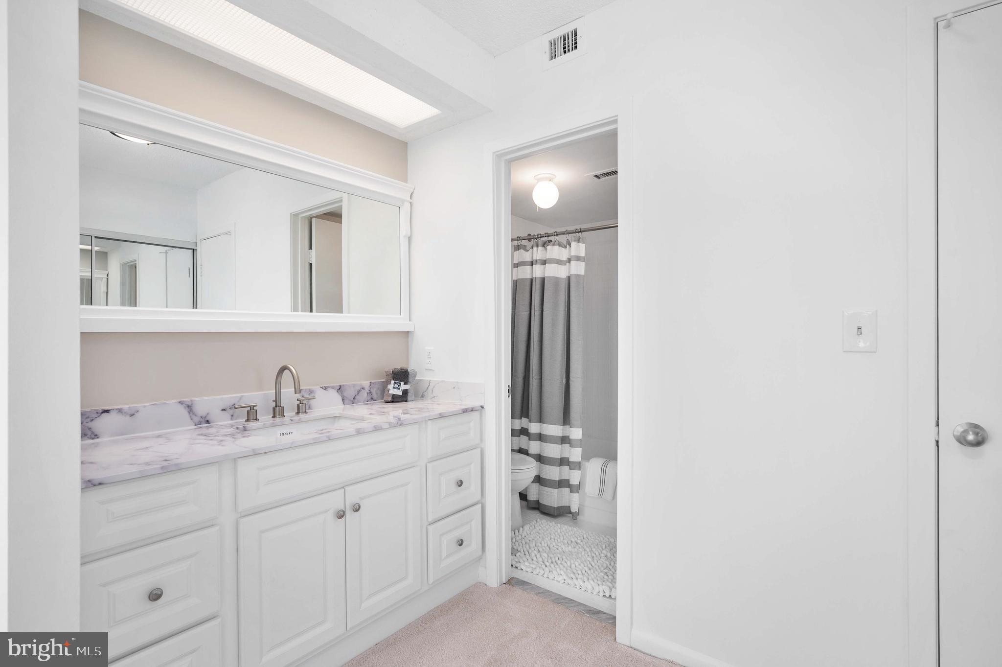 5501 Seminary Road, Unit 511S Falls Church, VA 22041 - Photo 24 of 44 a bathroom with a sink and a mirror