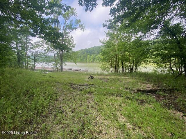 37 Conoloway Road Clarkson, KY 42726 - Photo 3 of 9 Dock parking area
