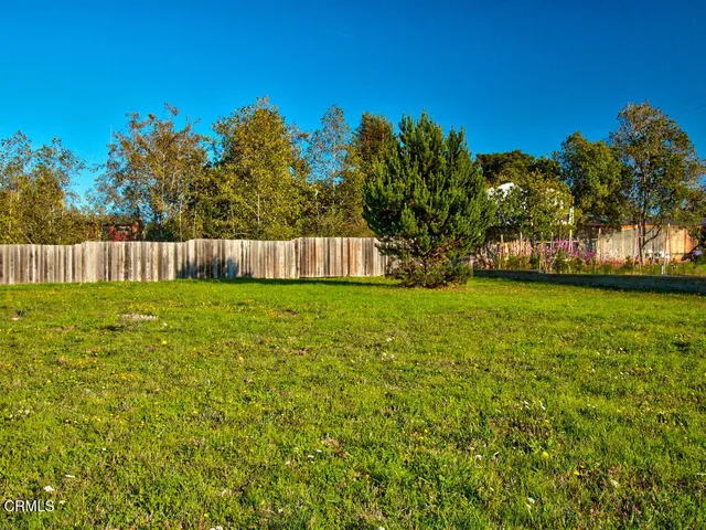 a view of yard with grass and trees